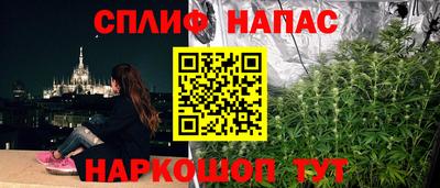 мяу мяу мука Сочи