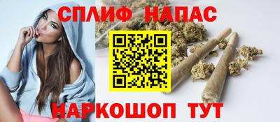 шишки Моздок