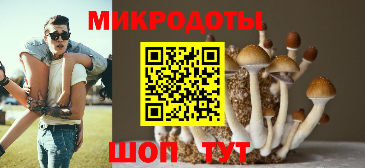 купить   Галлюциногенные грибы ЛСД  Вход с VPN  Кузнецк 